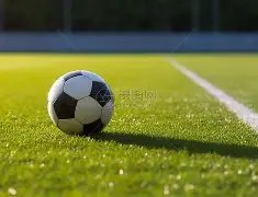 双色球,预测秘籍,揭秘高手绝,天津体彩,天津体彩网,天津体彩网官网,体育彩票,体彩大乐透,竞彩足球,体彩公益