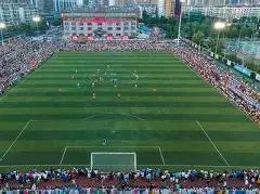 揭秘蛇年彩,期双色球精,准杀红预测,天津体彩,天津体彩网,天津体彩网官网,体育彩票,体彩大乐透,竞彩足球,体彩公益