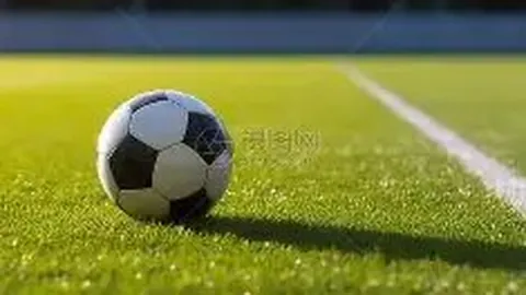 【双色球2025139预测秘籍】揭秘高手绝杀号，艺高人胆大，精彩预测不容错过！