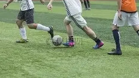 天津体彩网 资讯 102941 d8m