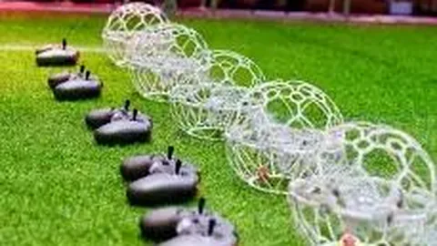 【章文红独家揭秘】2026033期彩票3D必中攻略：精准定胆杀号，018绝不容错过！