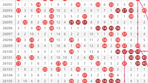 第2026081期 推荐 大乐透2026081期专家质合分析